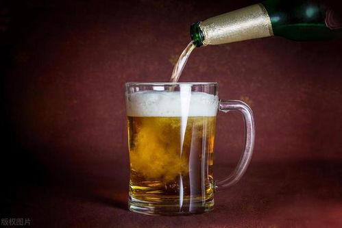 全國哪的啤酒最好喝 經評比,這6個地方都不錯,看看有你家鄉嗎