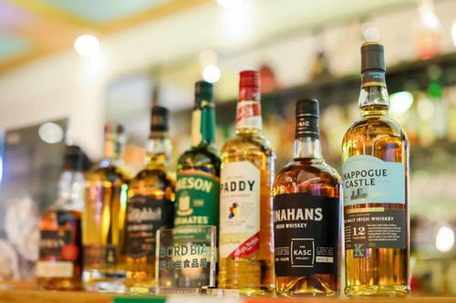 收,來自遠方翡翠綠島的海鮮投喂