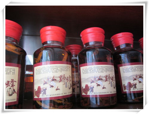 蘭溪嘉行養生酒 精品酒類批發優選，輔仁路優質供應商